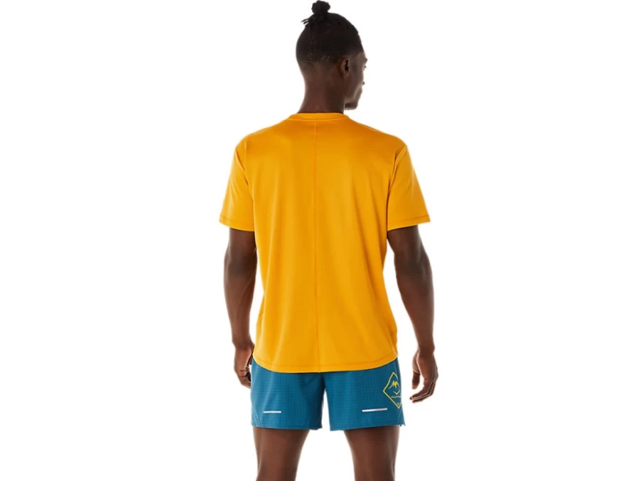 ASICS Men's FujiTrail Logo Sandstorm Short Sleeve Running Top